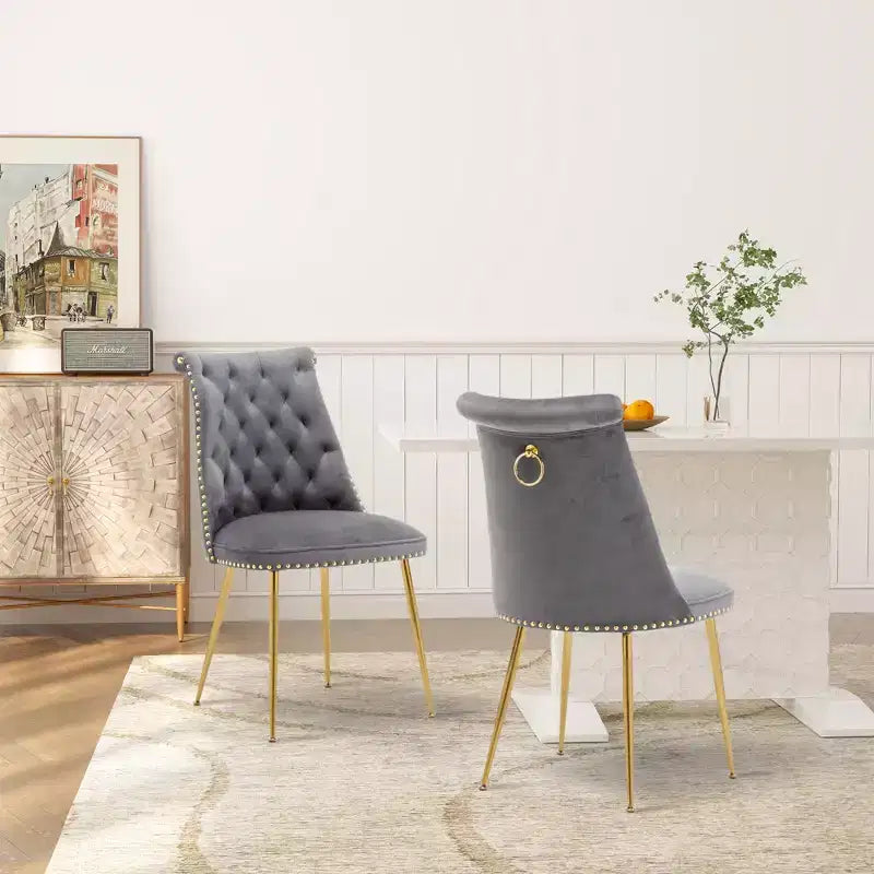 Lot de 2 chaises de salle à manger en velours